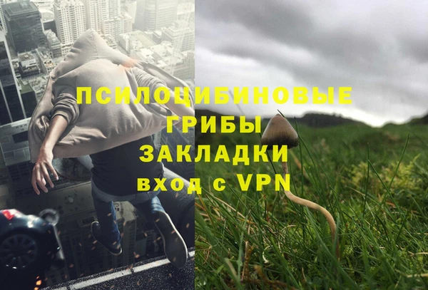 молекула духа Лагань