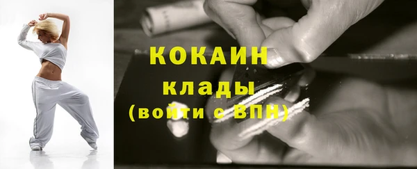гидра Алексин